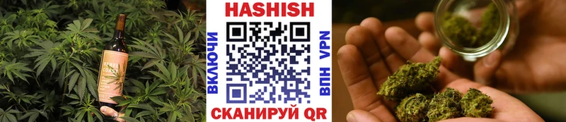 KRAKEN зеркало  Новоузенск  Cannafood марихуана 