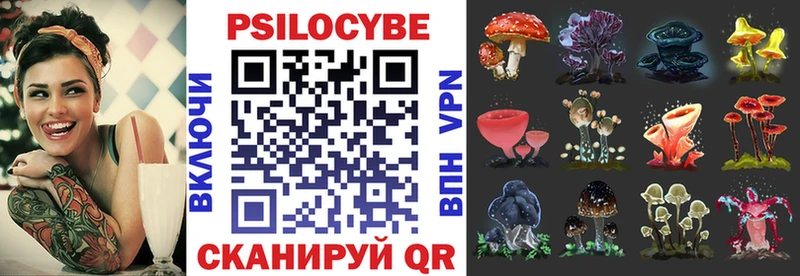 мориарти состав  наркотики  Новоузенск  Галлюциногенные грибы MAGIC MUSHROOMS 